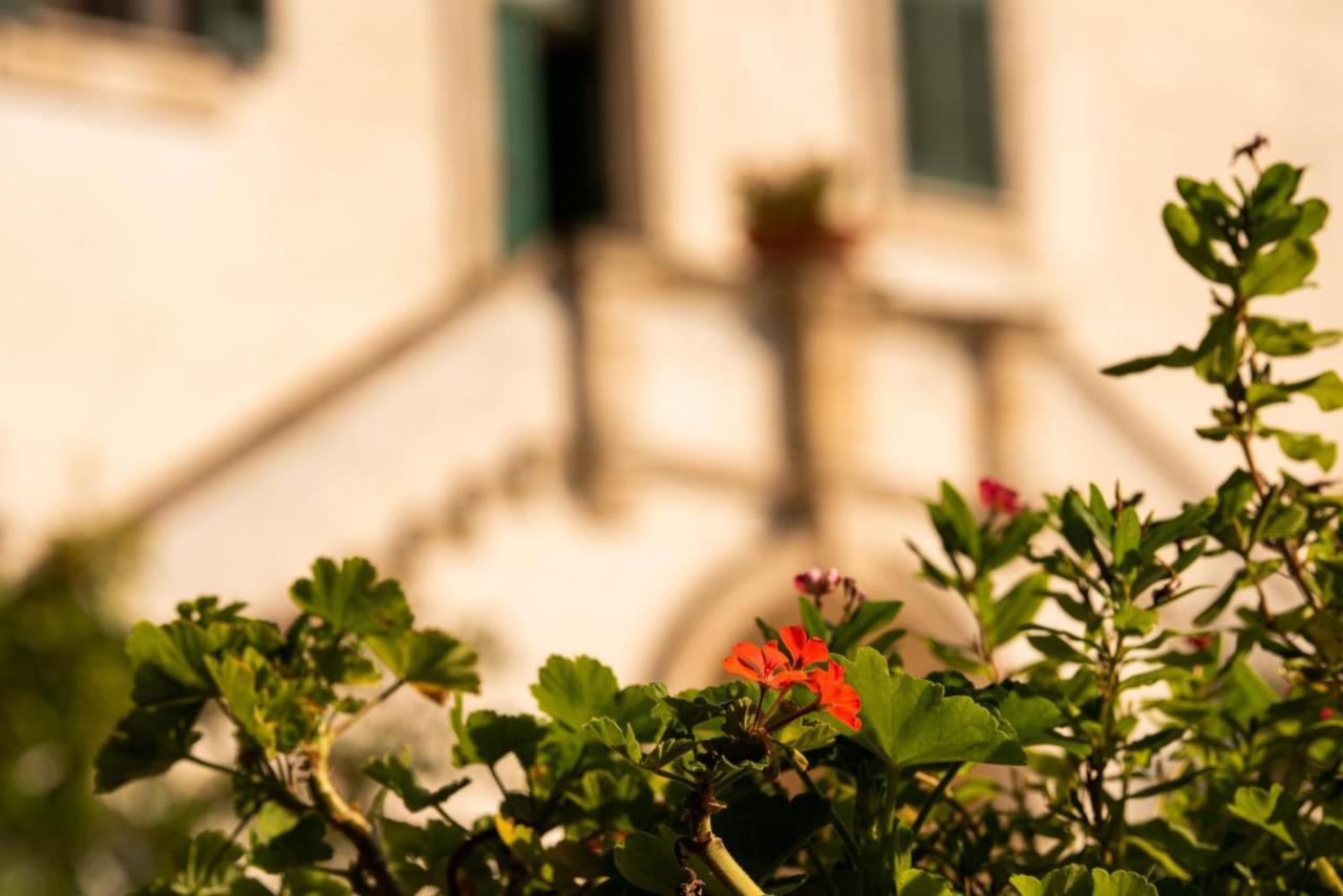 Villa Encantamiento - Dimora Gelsomino - Masseria Storica Nel Cuore Della Puglia Con Piscina Latiano Zewnętrze zdjęcie