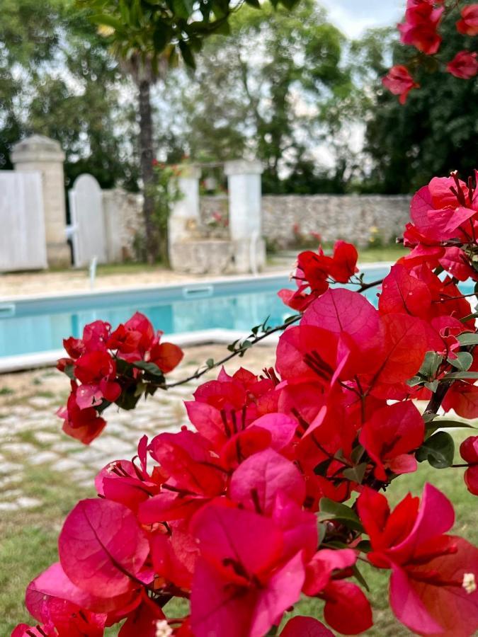 Villa Encantamiento - Dimora Gelsomino - Masseria Storica Nel Cuore Della Puglia Con Piscina Latiano Zewnętrze zdjęcie